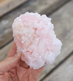 Rosa Halit kluster #3