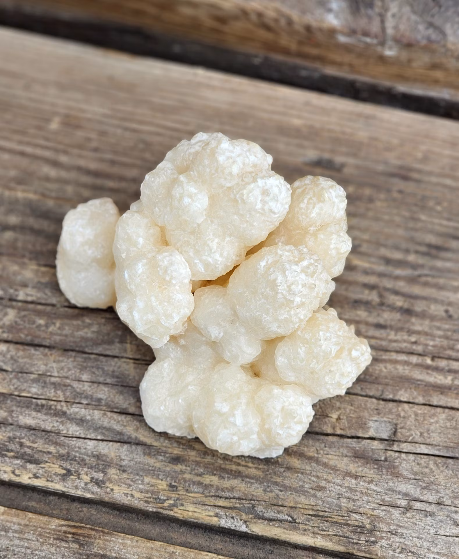 Stalaktit Aragonit/Popcorn Kalcit
