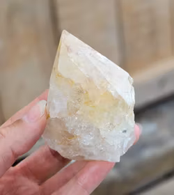 Stående spets, Golden Healer #5 (litet nagg finns)