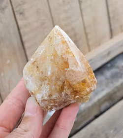 Stående spets, Golden Healer #13 (nagg finns)