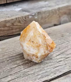 Stående spets, Golden Healer #13 (nagg finns)