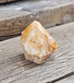 Stående spets, Golden Healer #13 (nagg finns)