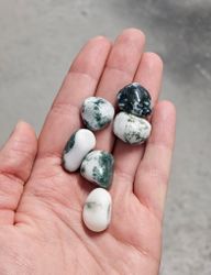 Trädagat, trumlad -70% fynd små