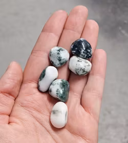 Trädagat, trumlad -70% fynd små