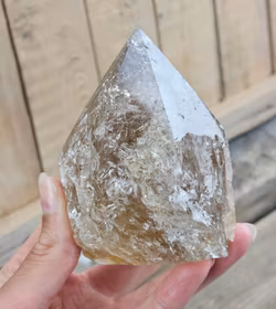 Stående spets, Rökkvarts #5 (nagg finns)