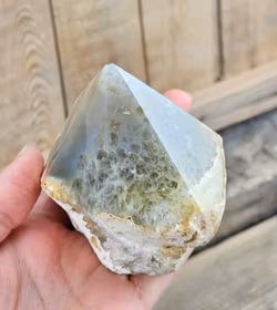 Stående spets, Agat #9 (nagg finns)