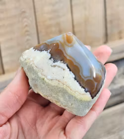 Stående spets, Agat #10 (nagg finns)