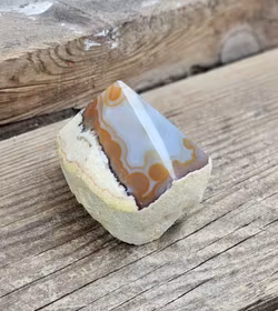 Stående spets, Agat #10 (nagg finns)