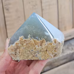 Stående spets, Agat #13