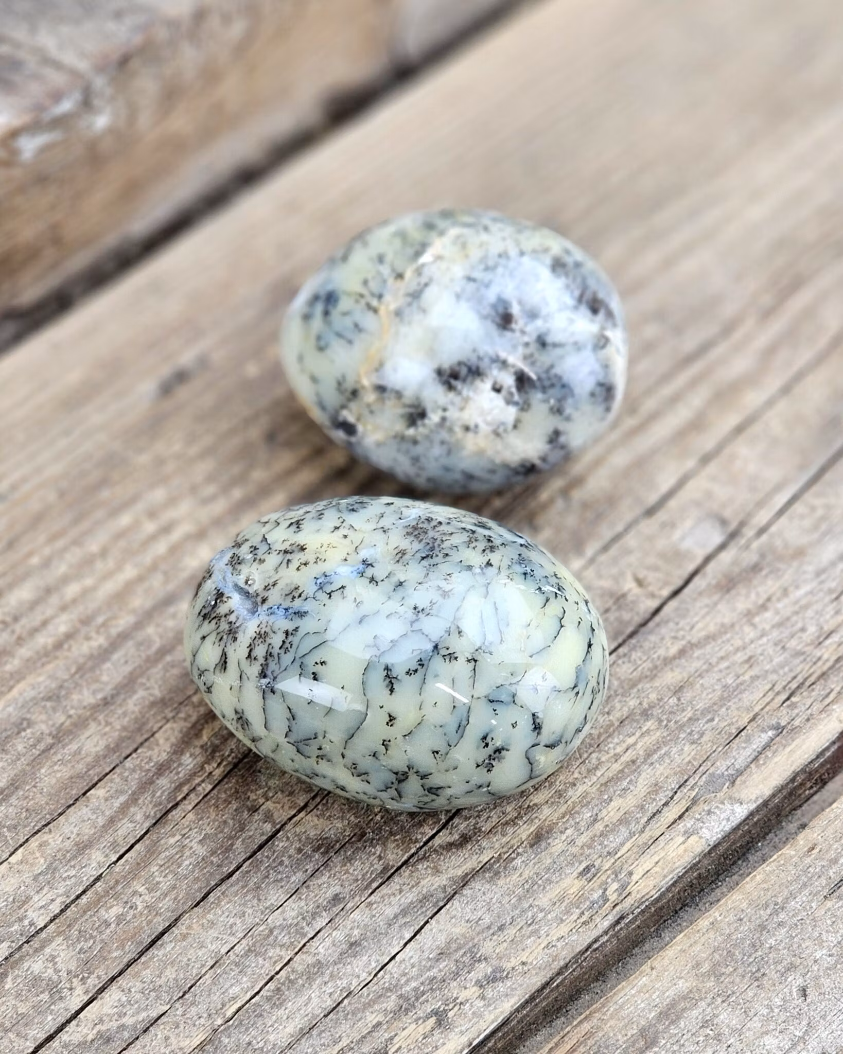 Dendrit Opal, stor touchstone