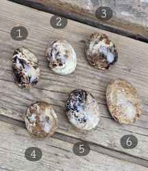 Svart Opal, touchstone #1-6