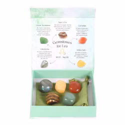 Stjärntecken Lejonet (Leo), kristallkit - 5 stenar