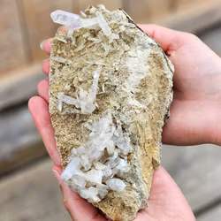 Vera Cruz Ametist XL #4