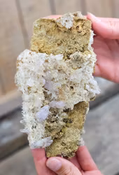 Vera Cruz Ametist XL #6