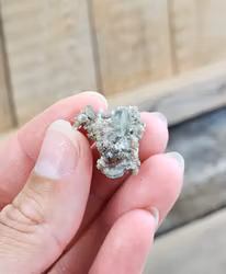 Panasqueira Apatit, kluster #60