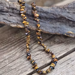 Tigeröga, chipshalsband 45 cm