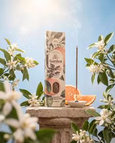 Sagrada Madre – Garden Citronella Grapefruit (Grapefrukt), rökelsepinnar