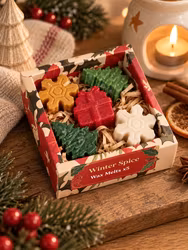 Christmas Botanicals – Winter Spice, juldoftvax (5 formade vaxkakor)