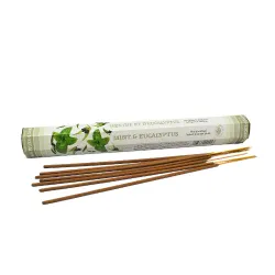 Green Tree - Mint & Eucalyptus, hexa rökelsepinnar