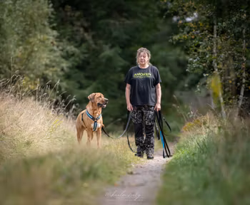 Spårlina. 6 meter lång, 25 mm bred. Svart med avvikande färg sista metern. Med eller utan reflex.
