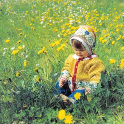 Garnkit Solveig Hisdal - Dikt i Maskor modell 112