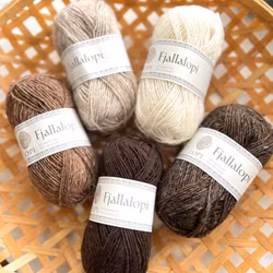 Garnkit Góa sweater KAL - Wilderness