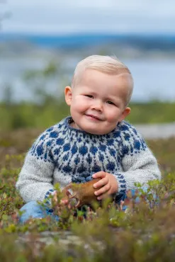 Sisu Knitwear - Blueberry (Blåbær) Sweater mini (PDF)