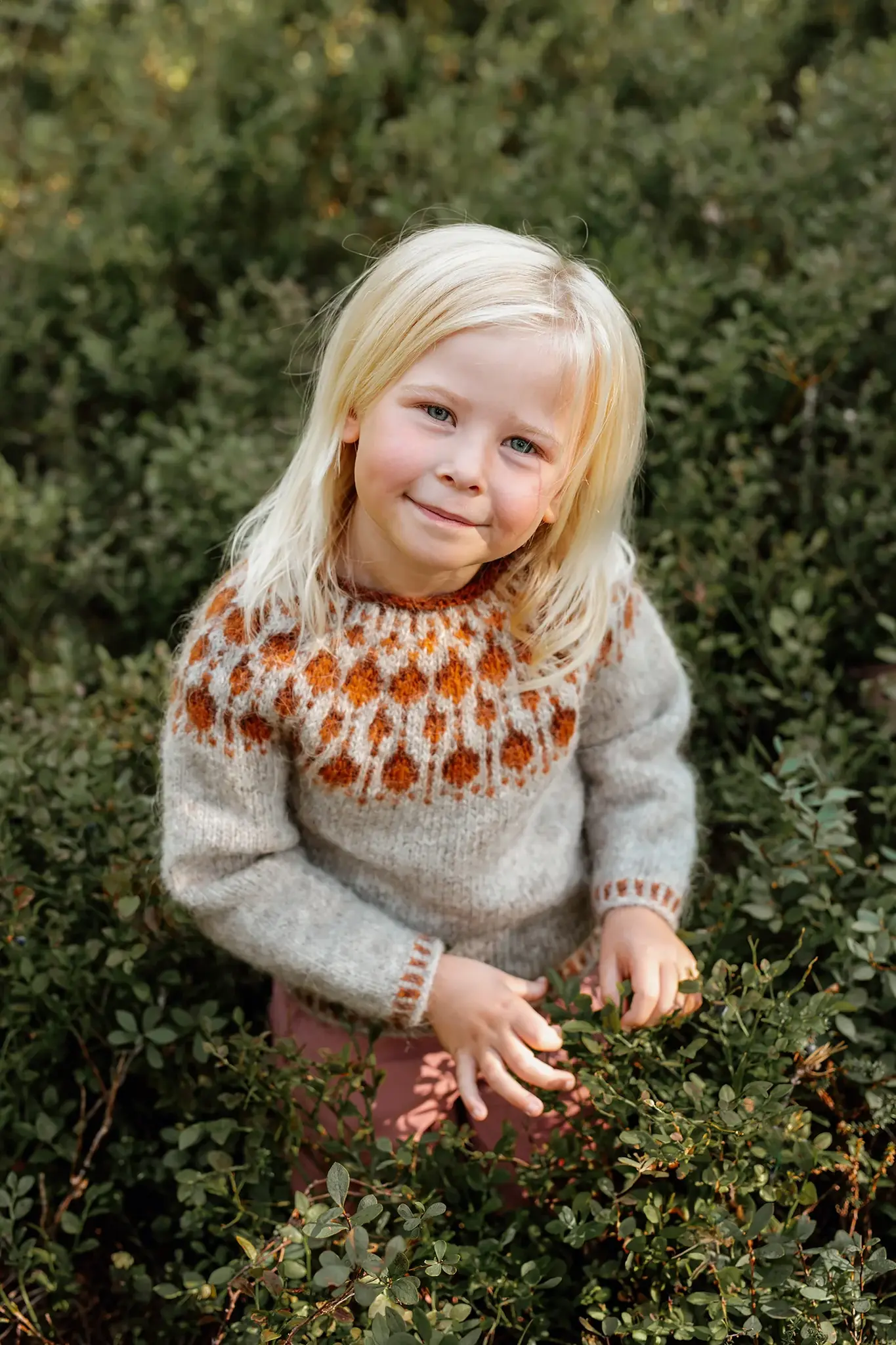 Sisu Knitwear - Cloudberry (Multebær) Sweater mini (PDF)