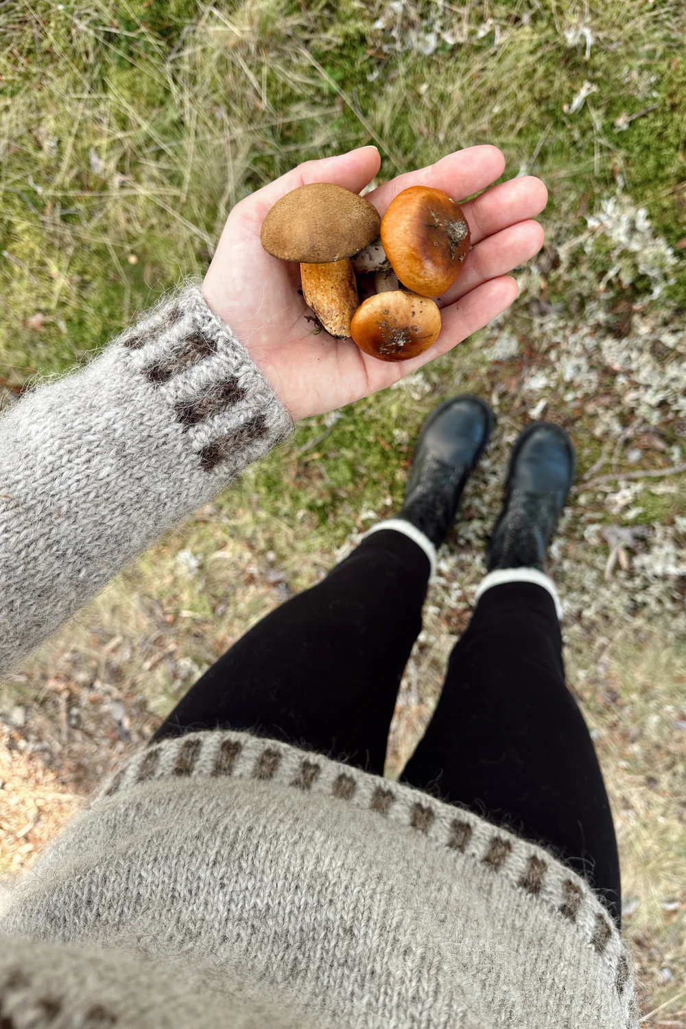 Sisu Knitwear - Acorn (Eikenøtt) Sweater (PDF)