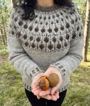 Sisu Knitwear - Acorn (Eikenøtt) Sweater (PDF)