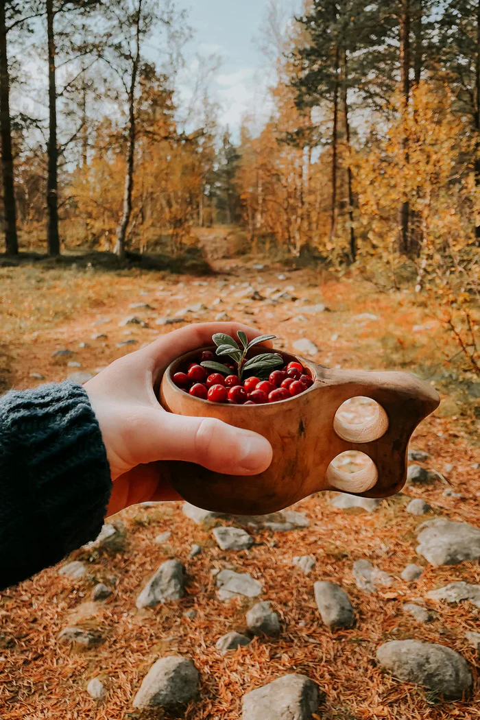 Sisu Knitwear - Lingonberry (Tyttebær) Sweater (PDF)