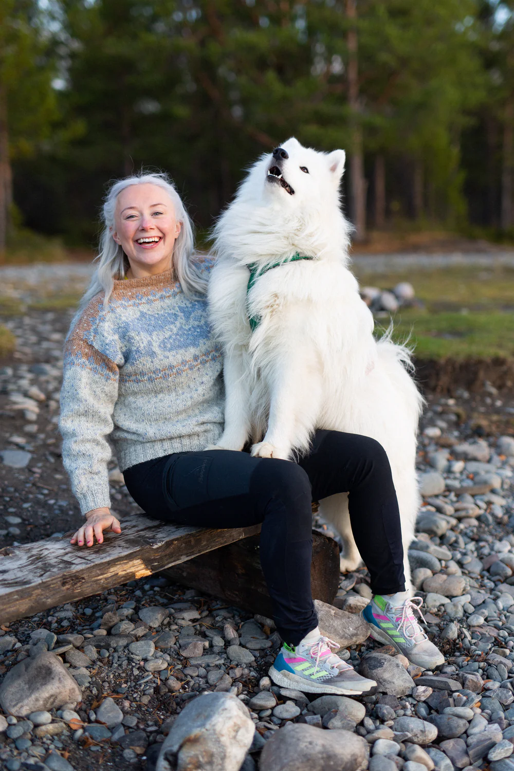 Sisu Knitwear - Lohi Sweater (PDF)