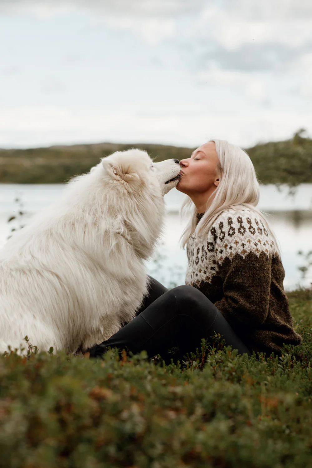 Sisu Knitwear - Čoarvegiella Sweater vår (PDF)