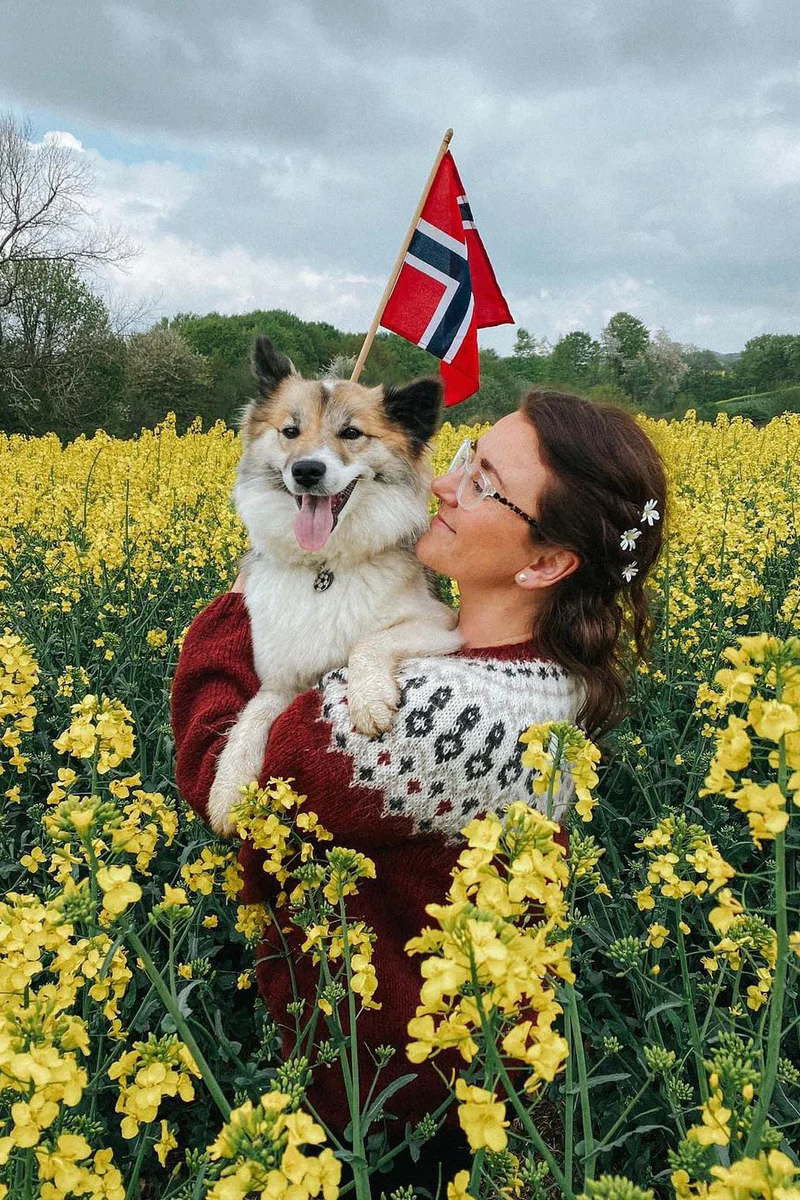 Sisu Knitwear - Čoarvegiella Sweater vår, röd (PDF)