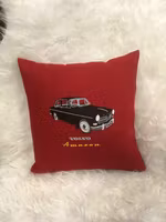 Volvo Amazon