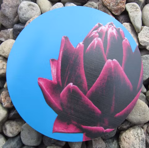 Coasters kronärtskocka - Jytte Olsson