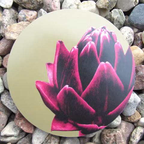 Coasters kronärtskocka - Jytte Olsson