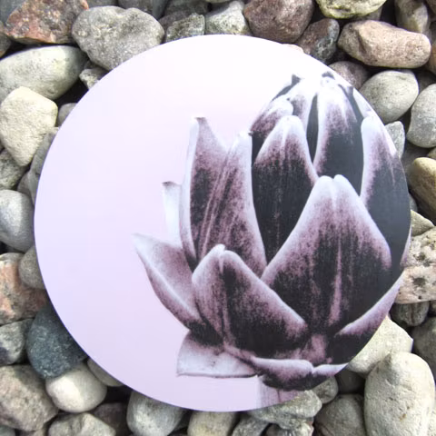 Coasters kronärtskocka - Jytte Olsson
