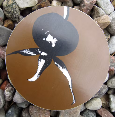 Coasters Nypon - Jytte Olsson