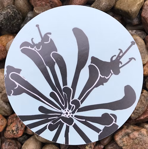 Coaster Kaprifol - Jytte Olsson