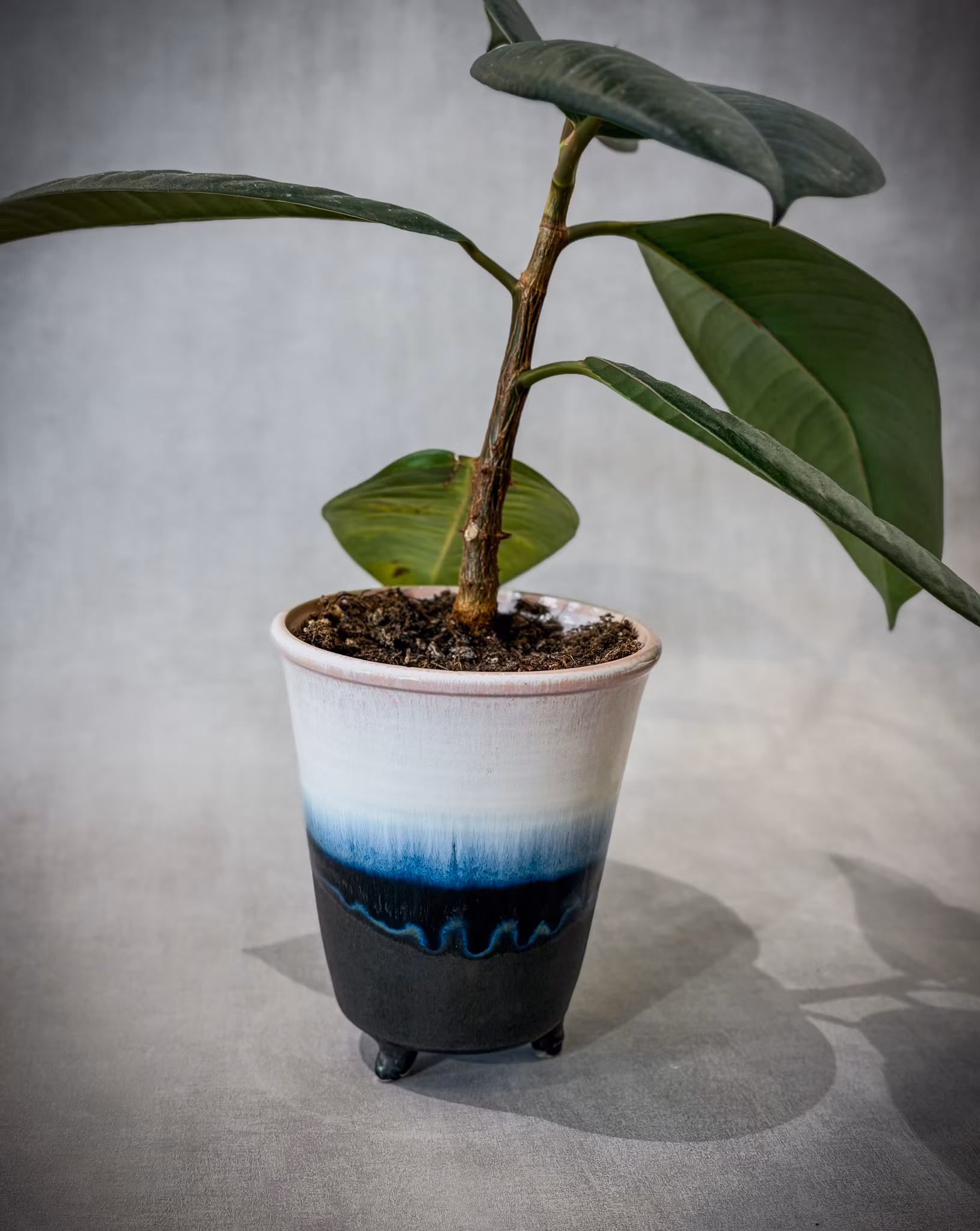 Kruka - Anna Malmsjö-Ahberg