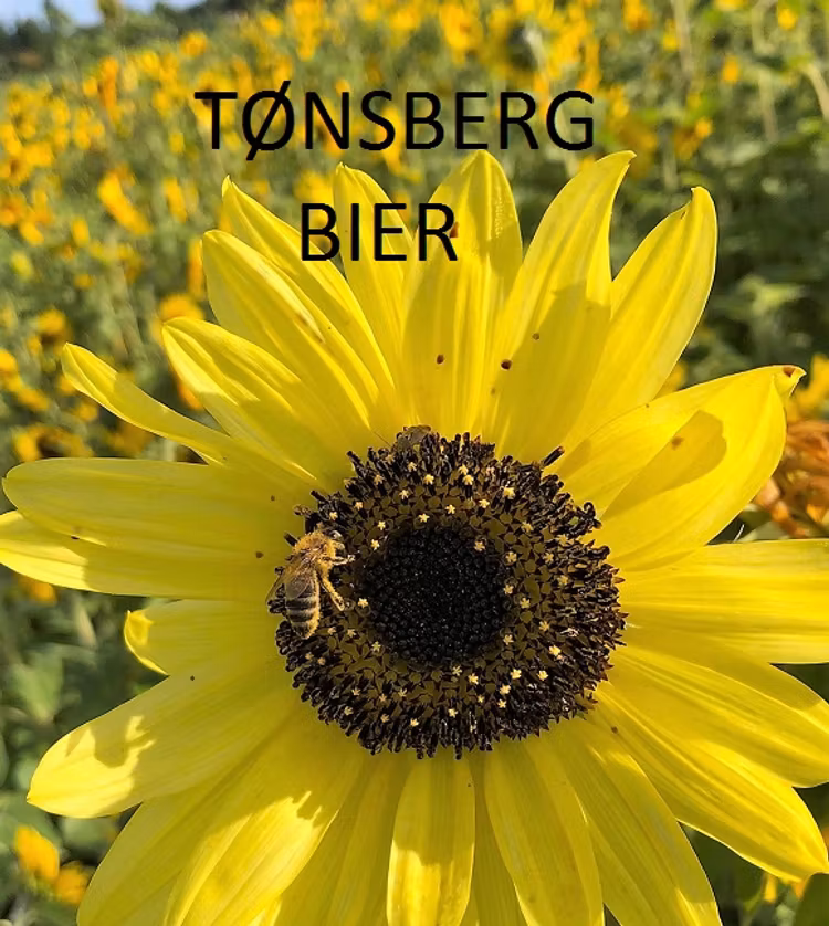 Bifolk 10 rammer kan hentes på "pickup punkt" Krainer etter bestilling