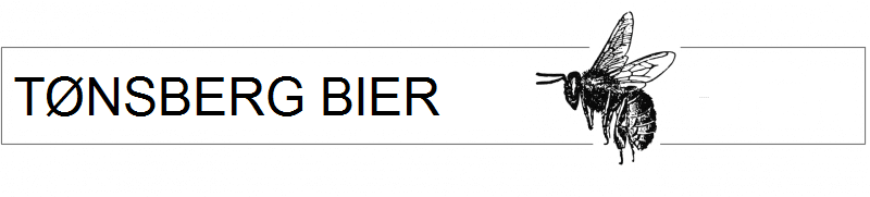 TønsbergBier