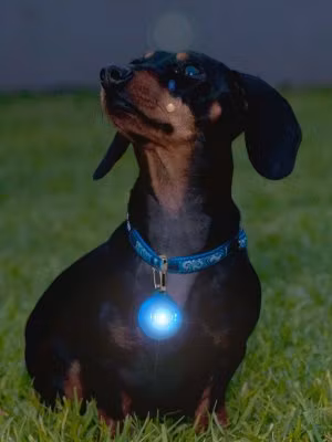 ROGZ BLINKI ROGLITEBLÅ 3CM