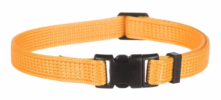 HALSB. VALPESETT 15555 22-35CM M/L 6STK RØD/GRØNN/GUL/LILLA/BLÅ/SORT