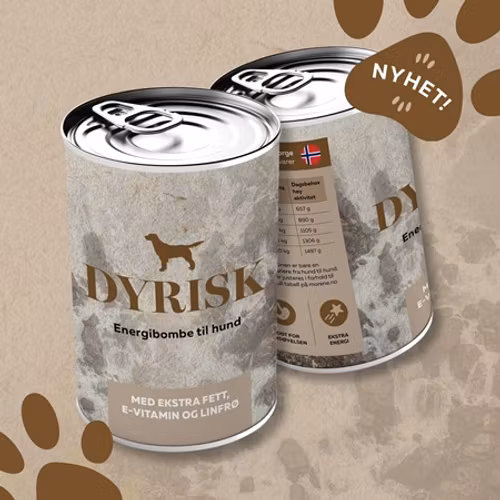 DYRISK ENERGIBOMBE 2 størrelser fra 16,-