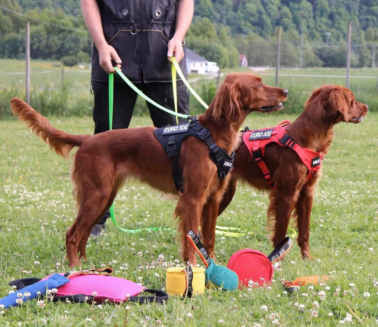 Hunde sele 'Tactical' i rød
