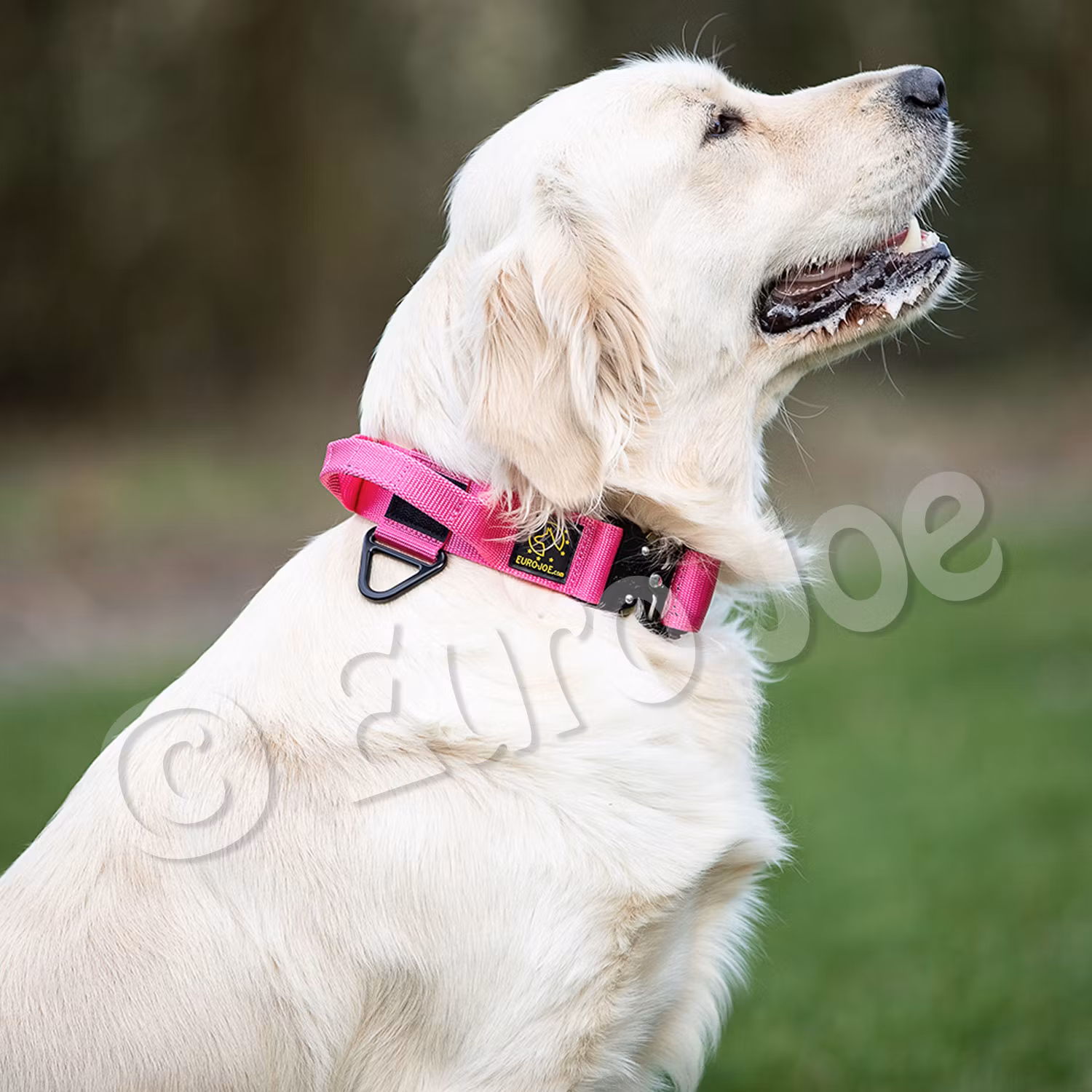 Euro Joe "Tactical Collar" 2.0 with handle