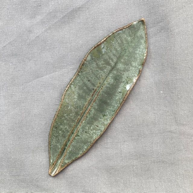 Bladfat "Euphorbia"