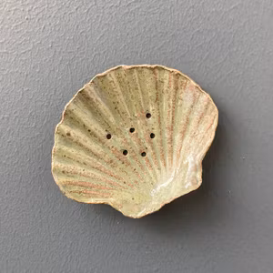 Snäckfat för tvål